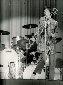 Rolling Stones original Pressefoto der 60er Jahre (Motiv 124 - Panfoto / K&K)