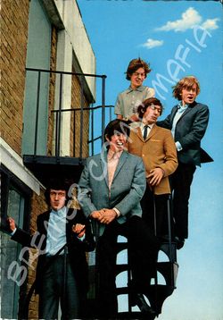 Rolling Stones  - Fotopostkarte der 60er Jahre (Motiv 229)