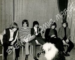 Rolling Stones original Pressefoto der 60er Jahre (Motiv 39 - Mirrorpic London)