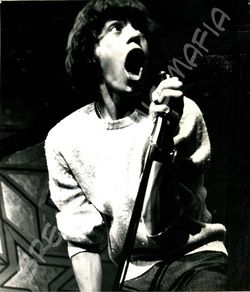 Rolling Stones original Pressefoto der 60er Jahre (Motiv 127 - ECRAN bzw. Radial Press bzw. E.P.S Copenhagen bzw ZIG-ZAG)